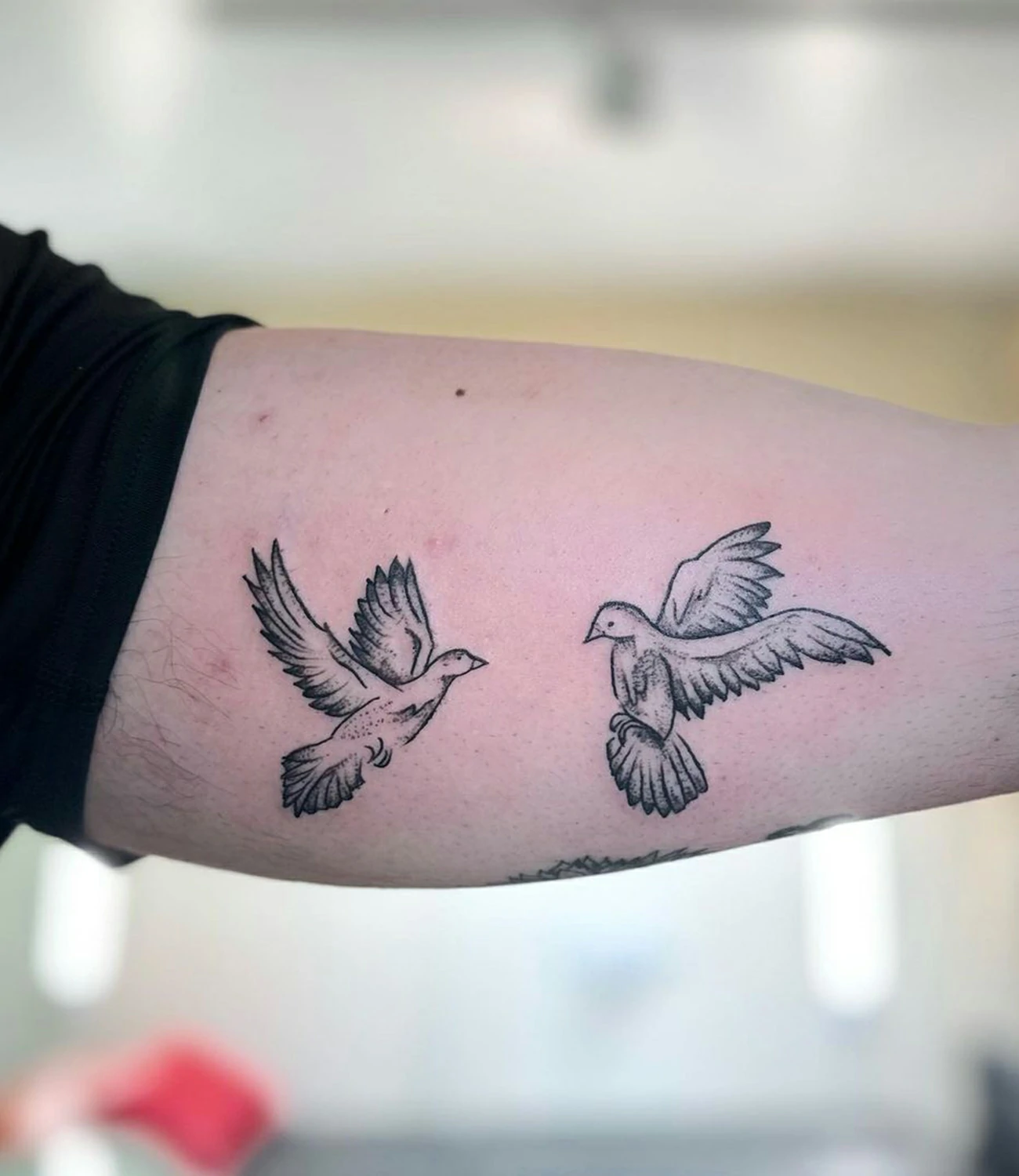 Bird Dove Tattoos