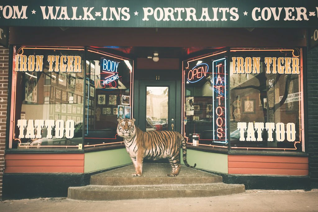 Iron Tiger Tattoo Columbia, Missouri