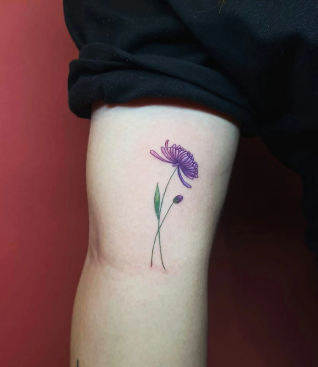 Minimalist Simple Chrysanthemum Tattoo #chrysanthemumtattoo
