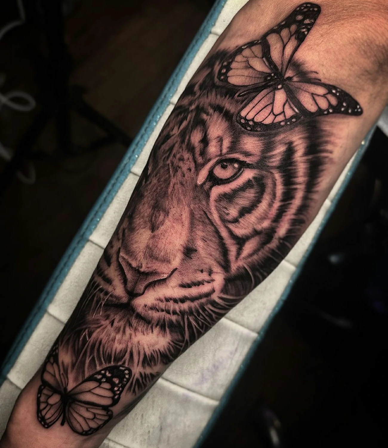 Tiger in Butterfly Tattoo