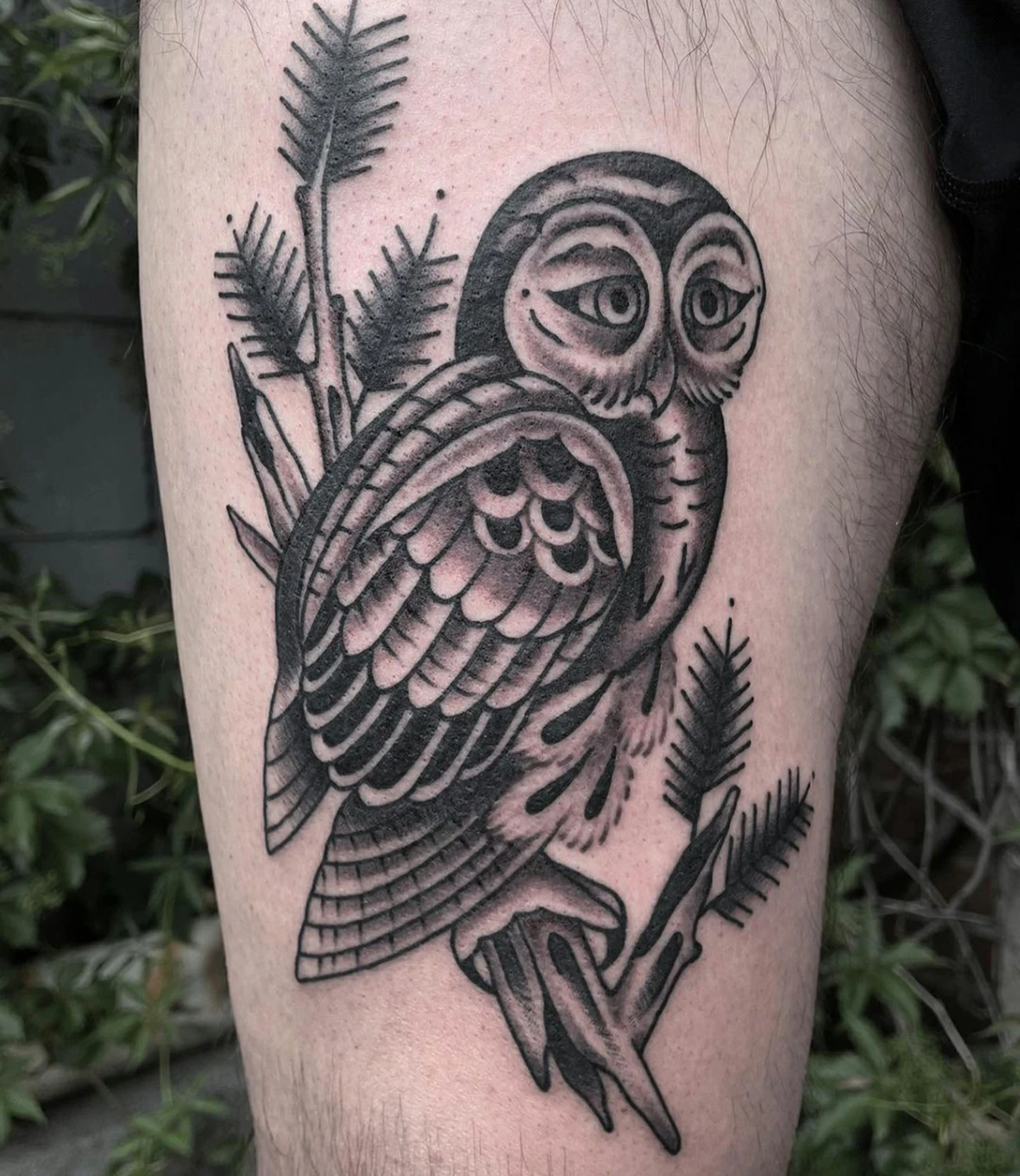 Barred Owl Tattoo