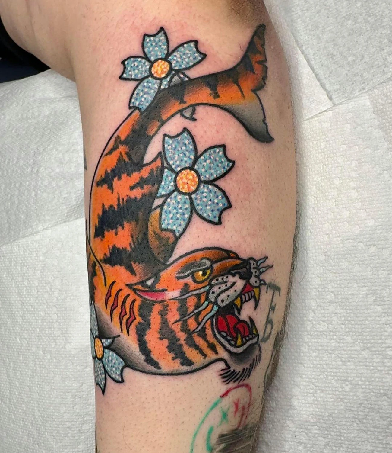 Eternal Tiger Tattoo