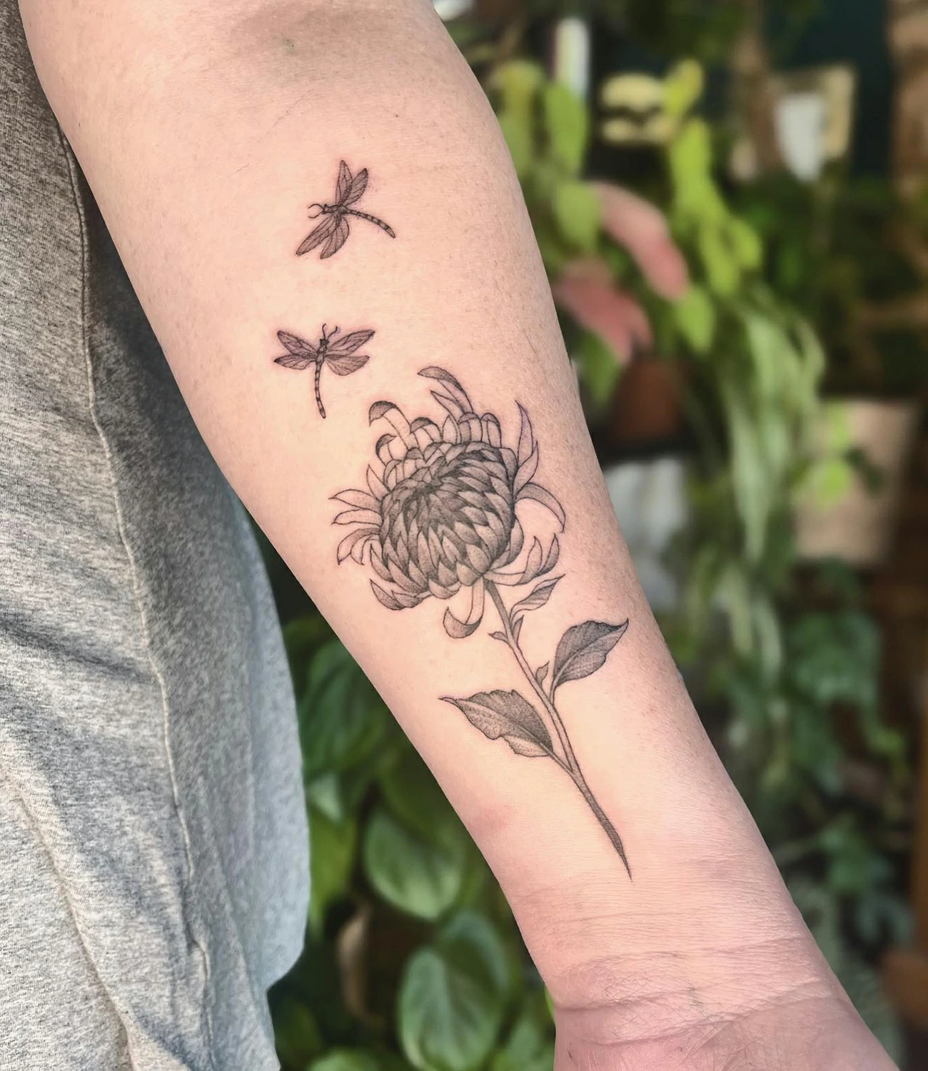 Small Chrysanthemum Tattoos #chrysanthemumtattoo