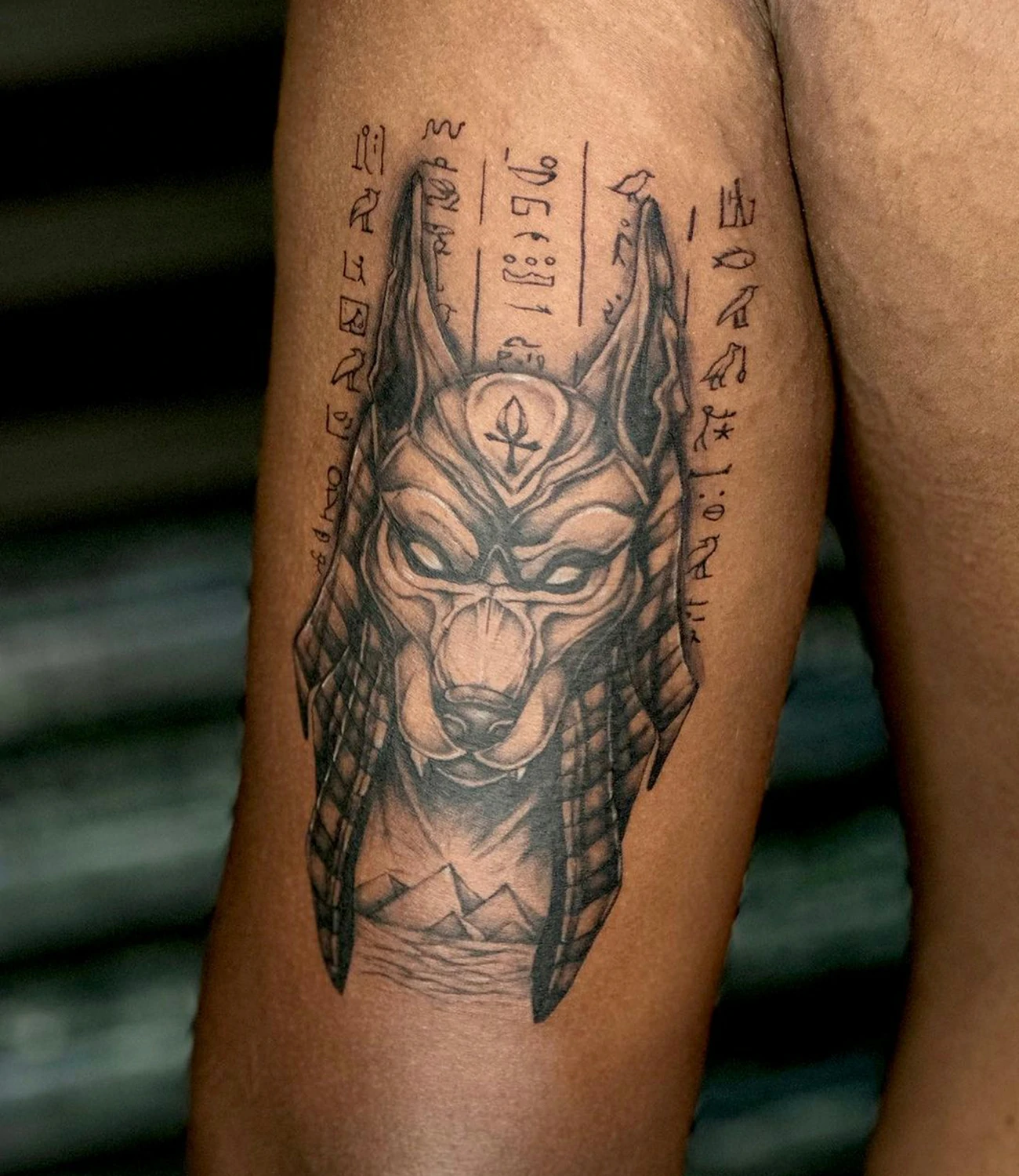 Anubis Tattoo Significado