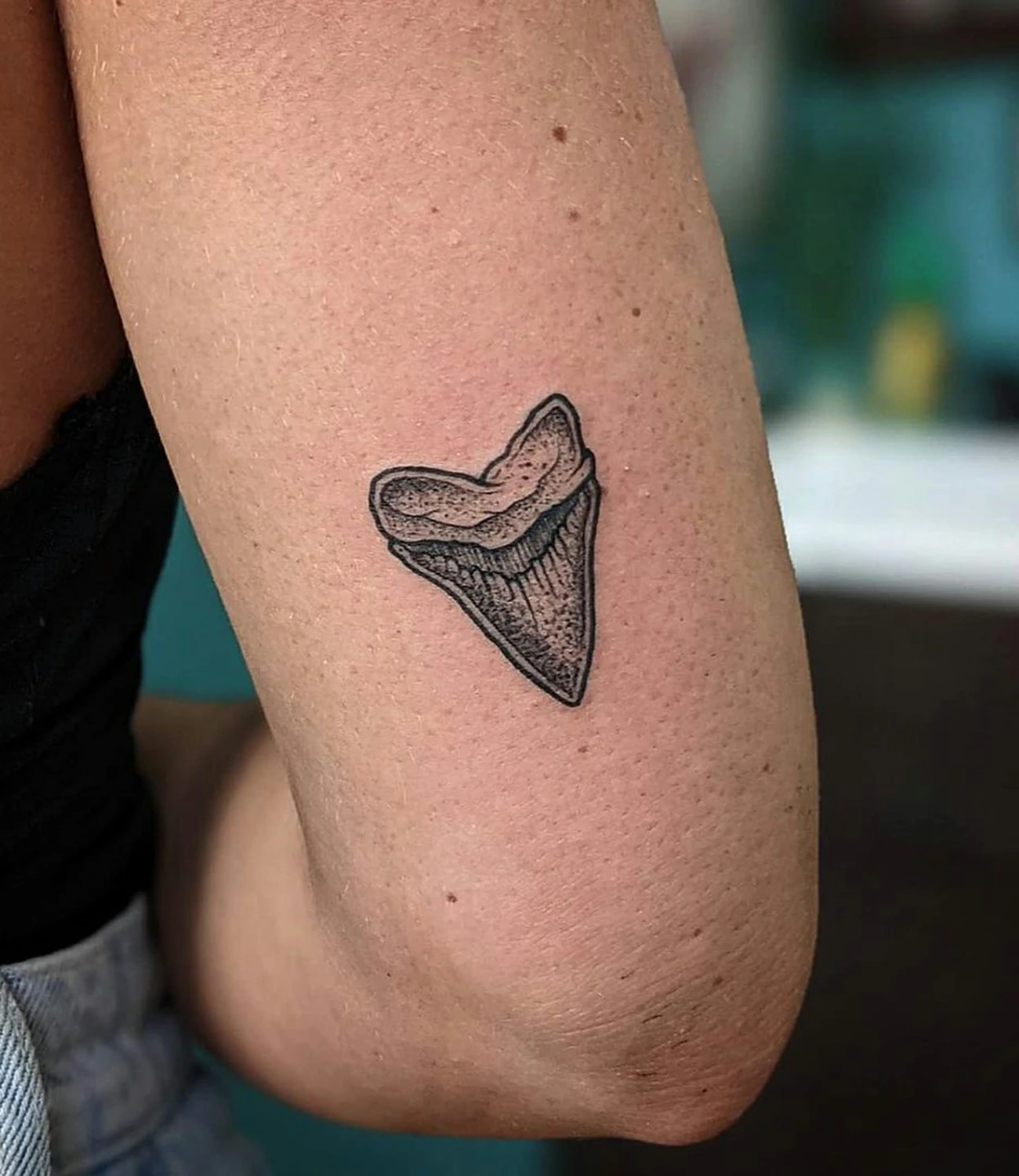 Shark Tooth Tattoo