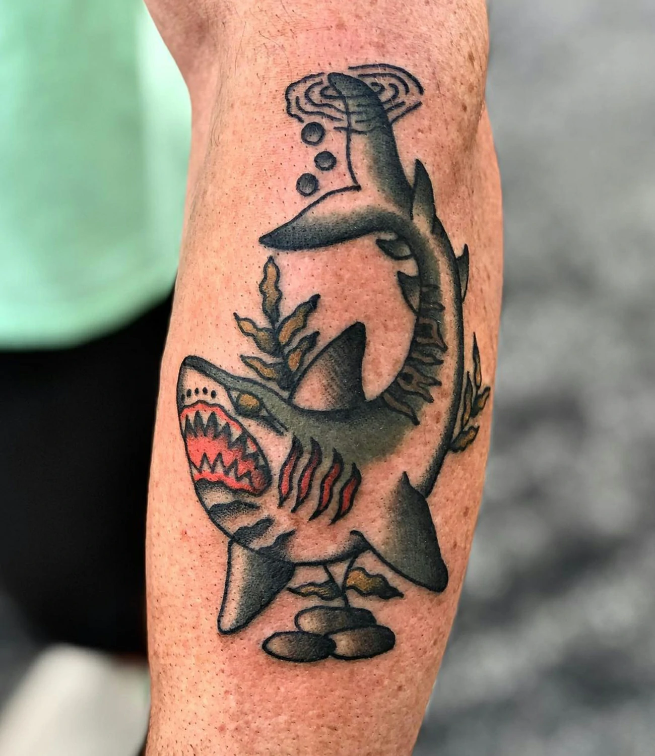 Trad Shark Tattoo