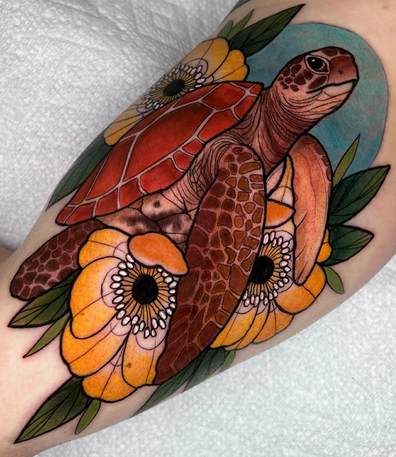 American Traditional Turtle Tattoo
