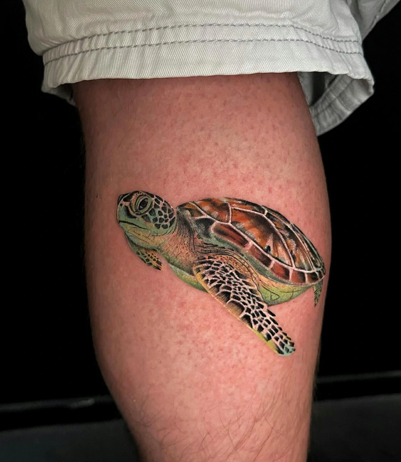 Realistic Sea Turtle Tattoo