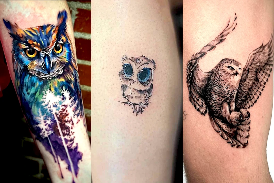 auoxx owl tattoo