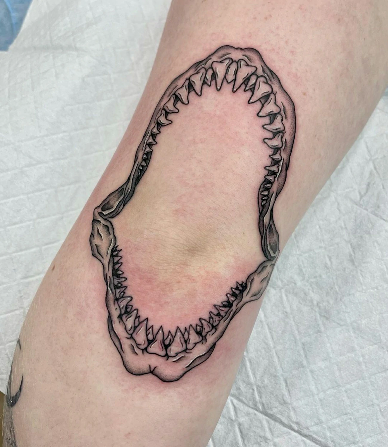 Shark Jaw Tattoo Outline