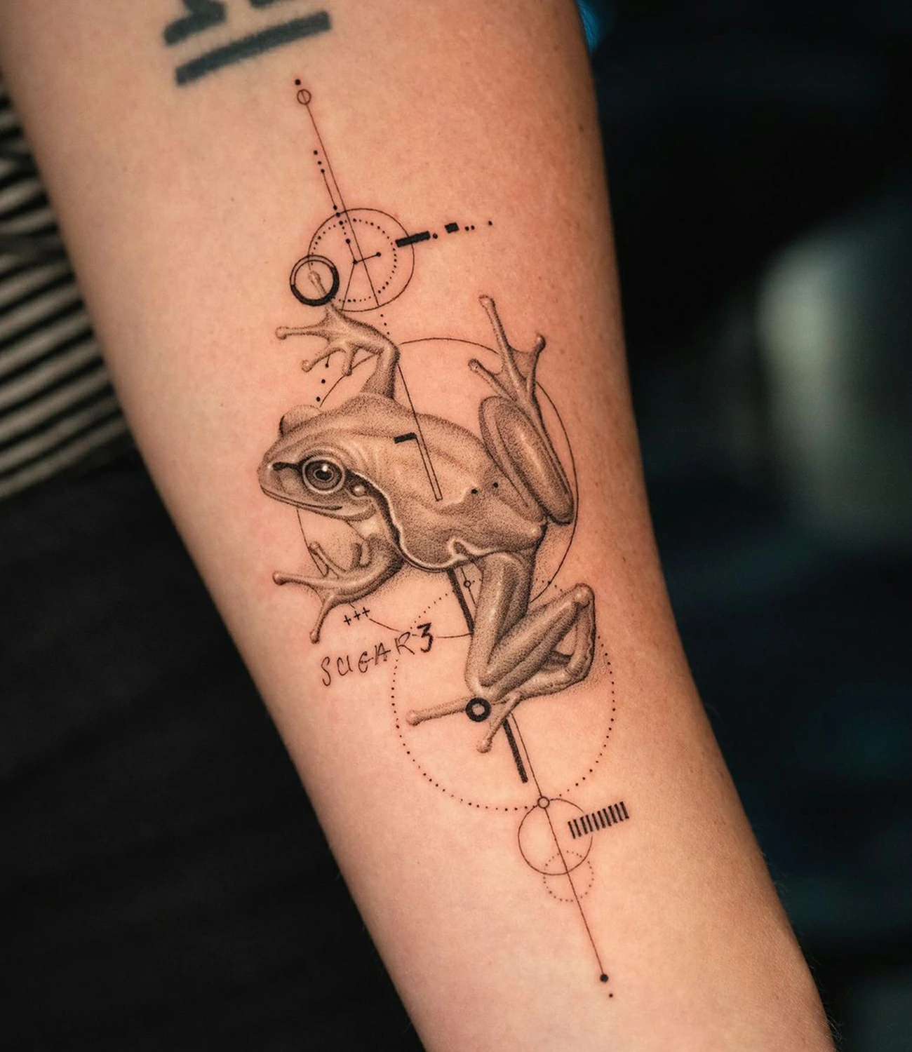 geometric animal tattoo
