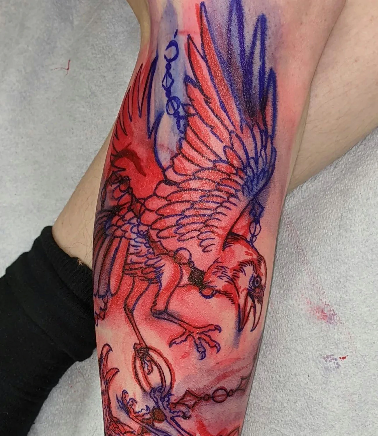 Red raven tattoo: A unique take with a raven tattoo done in red ink.