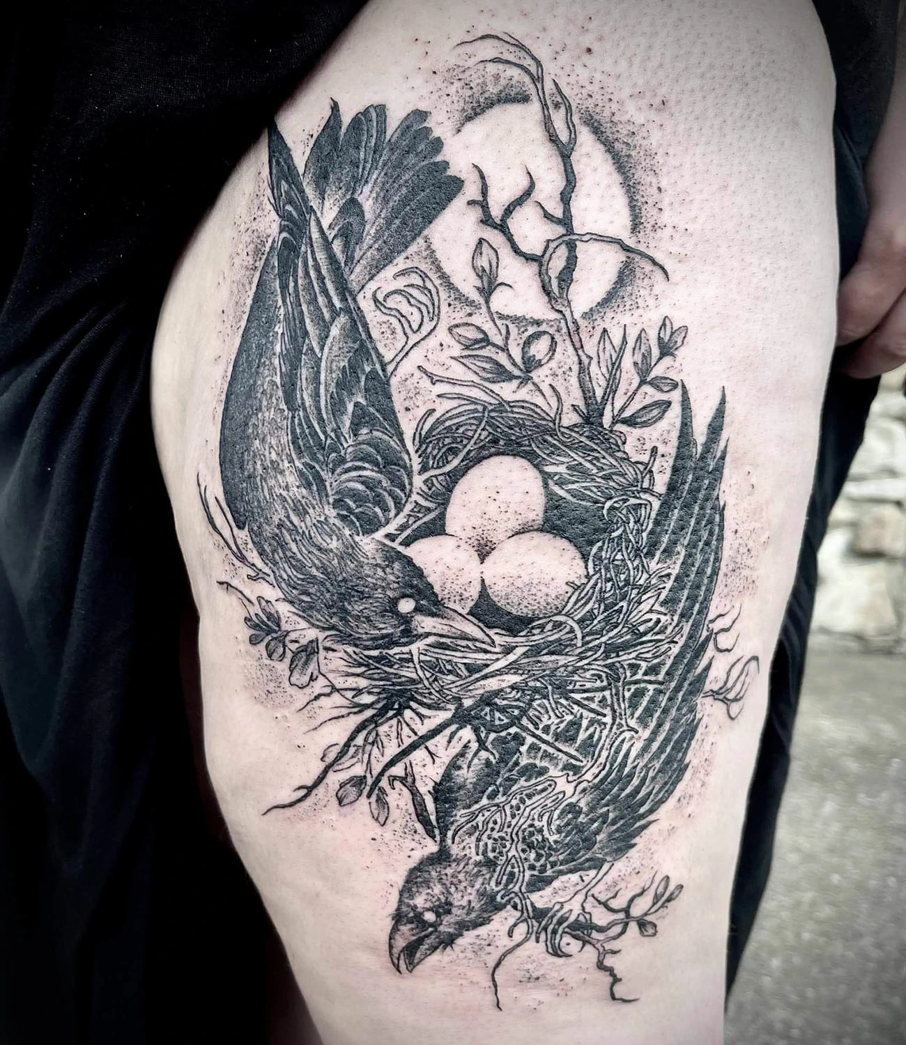 Crows Nest Tattoo