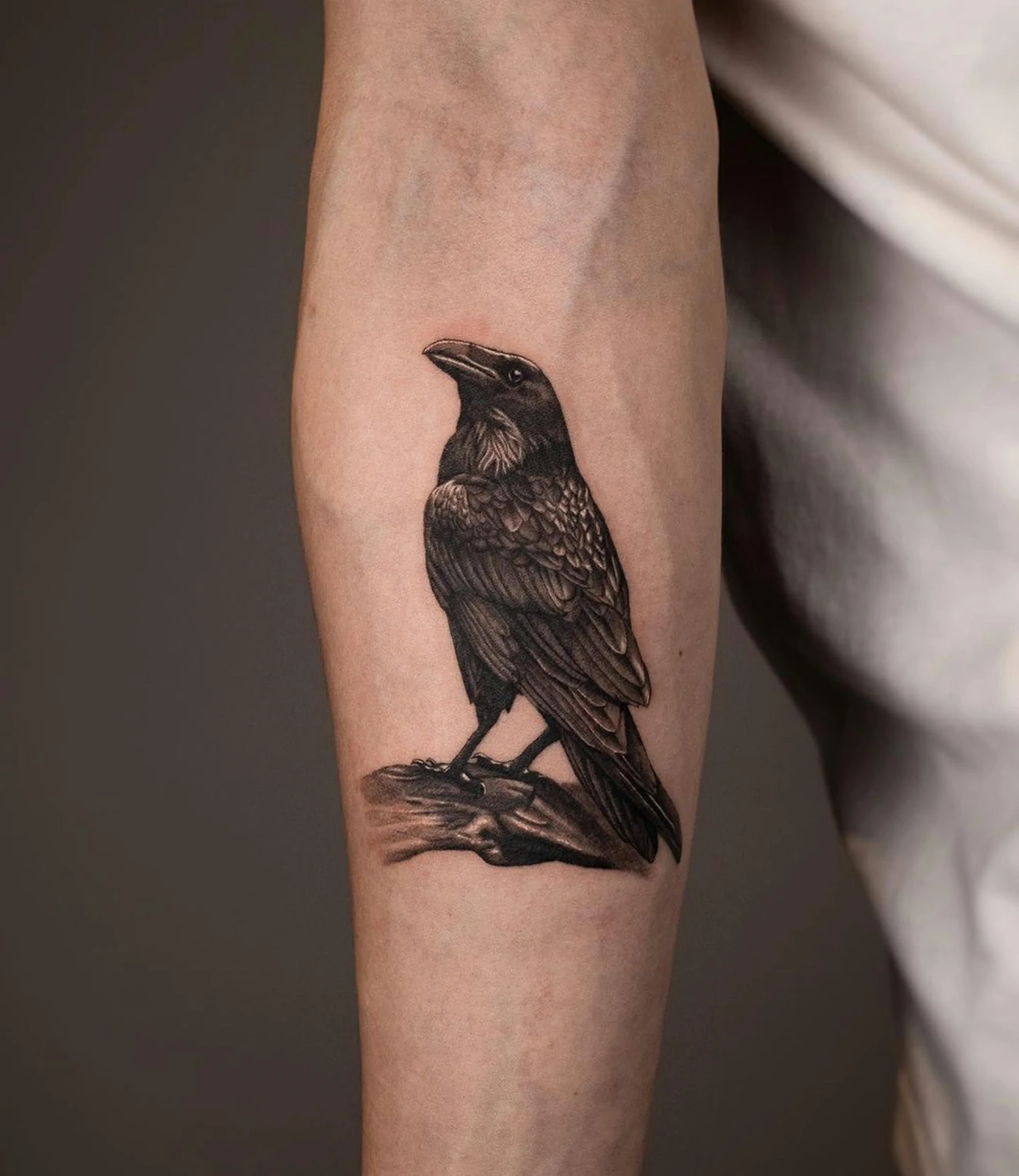 Realistic Crow Tattoo