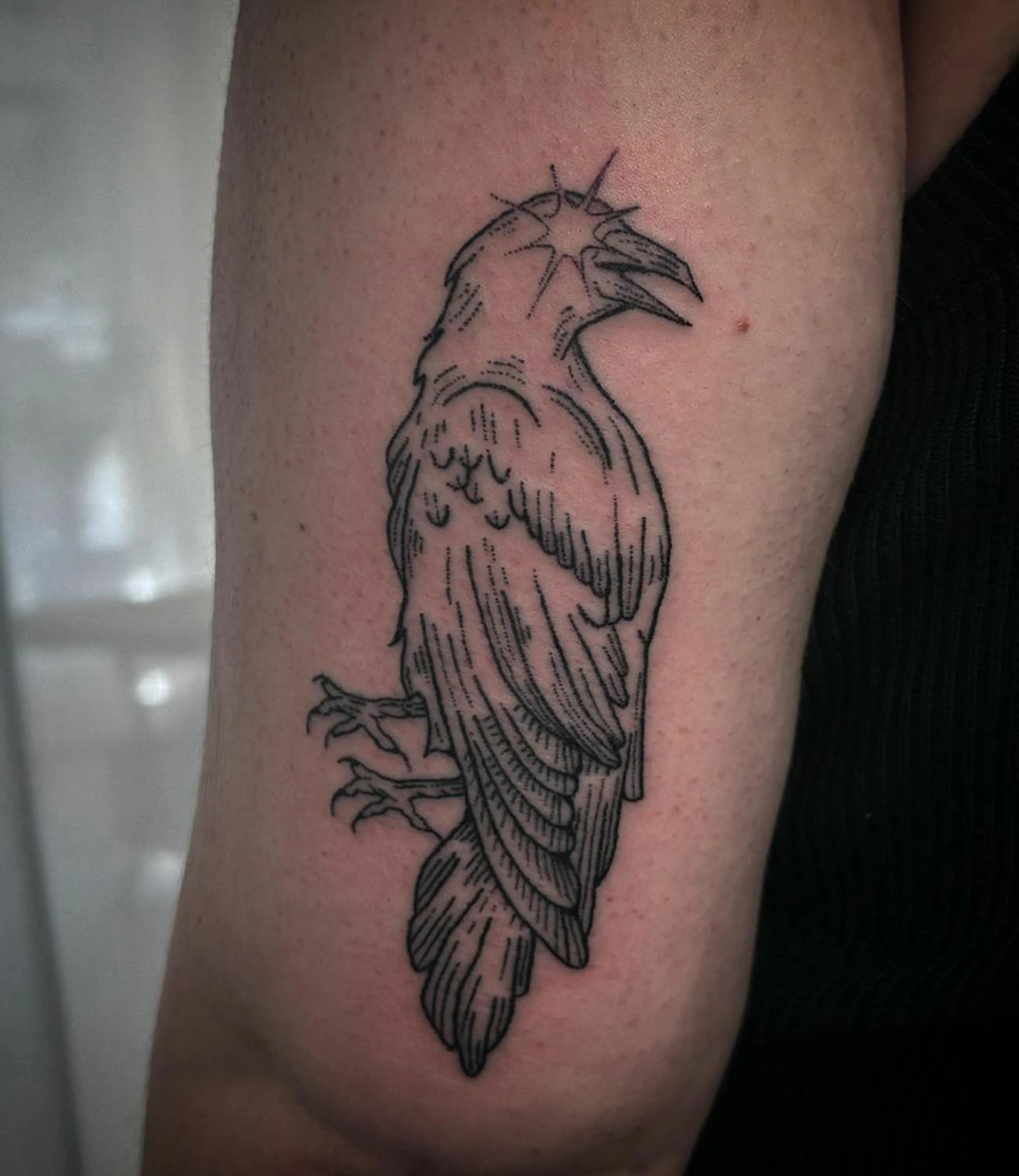 Crow Outline Tattoo