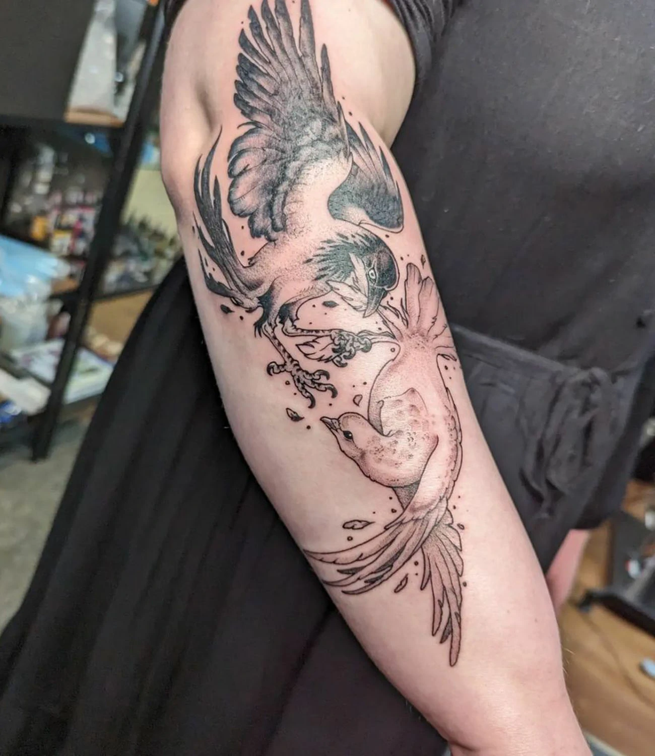 Crow and Dove Tattoo
